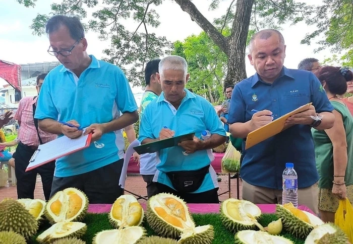 **Meriah! Festival Durian Ini Ajak 1.000 Orang Makan Sepuasnya**