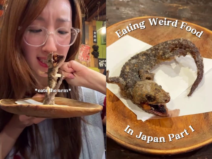 **Menggugah Selera! Resep Tokek Goreng Krispi ala Konten Kreator Jepang Tiffany**