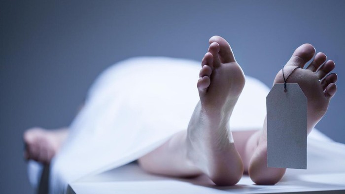Tiap 5 Menit, 2 Warga di RI Meninggal karena TBC: Fakta dan Solusi