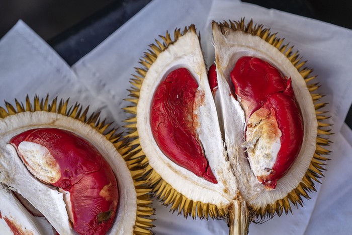 **5 Fakta Durian Udang Merah Khas Malaysia yang Dagingnya Lembut**
