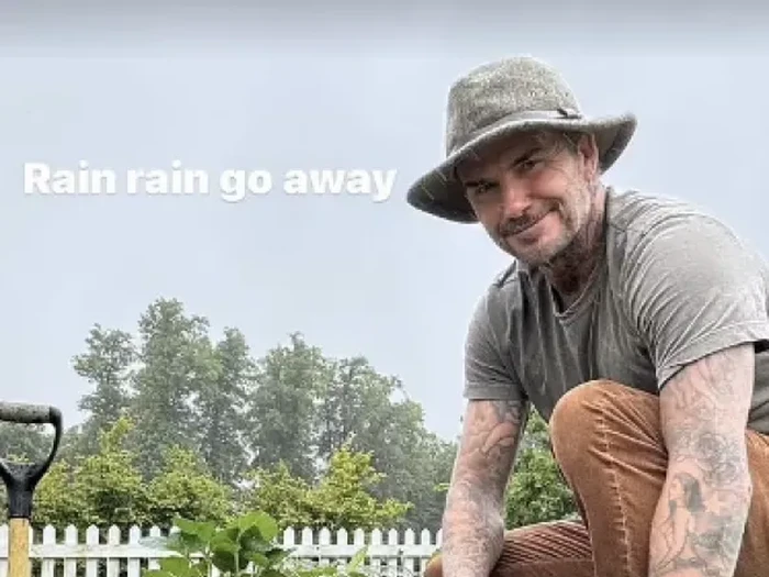 **Hobi Berkebun, David Beckham Panen Wortel dan Lobak Segar untuk Resepmu!**