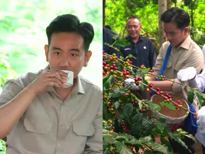Nikmati Kopi Ijen, Inspirasi dari Gibran yang 'Nekat' Meski Punya Asam Lambung