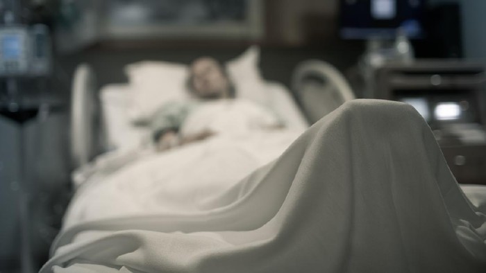 Virus Hanta Meneror, Kemenkes: 8 Kasus dan Tempat Berisiko Tinggi!
