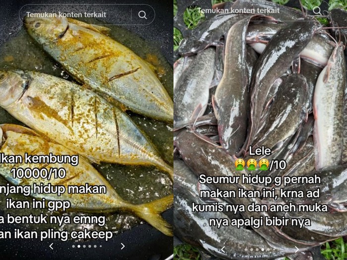Ngakak! Wanita Ini Ogah Makan Ikan yang Wajahnya Jelek - Update 1