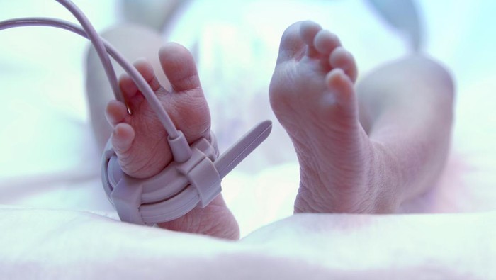 Risiko Gaya Hidup Vegan bagi Anak-anak: Kasus Tragis Bayi 10 Bulan dengan Kerusakan Otak