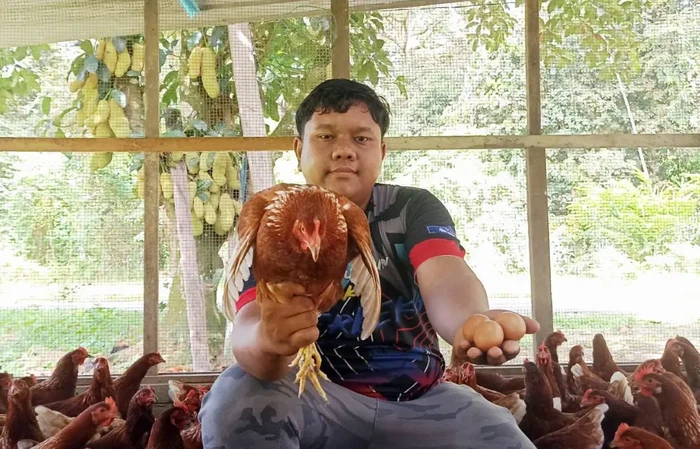 **Cuan! Resep Ayam Bernilai Jutaan Rupiah, Nikmat dan Praktis!**