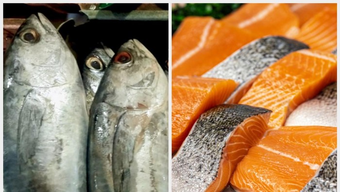 **Ikan Kembung vs Ikan Salmon: Mana yang Lebih Enak dan Nutrisi Terbaik?**