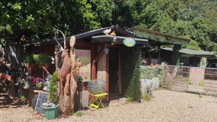 **Lezatnya Daging dan Susu di Toko Kelontong Favorit, Yuk Coba!**