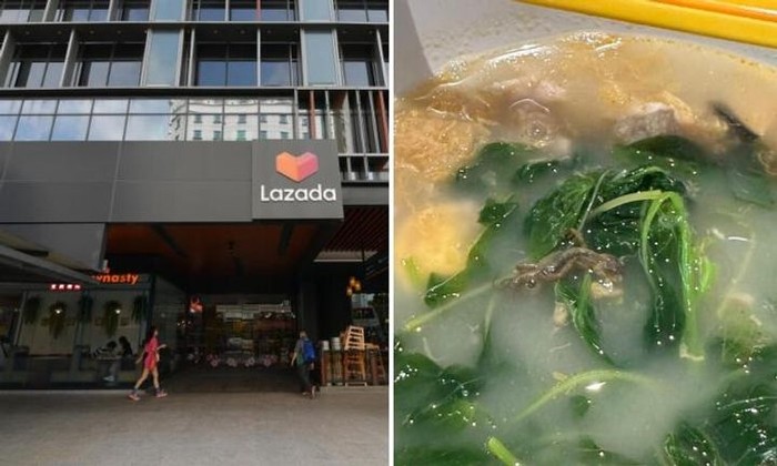 **Pelanggan Protes Ada Kadal di Sup, Pihak Resto Bilang Itu Ikan Bilis: Resep Sup Lezat dengan Tips Kebersihan Maksimal**