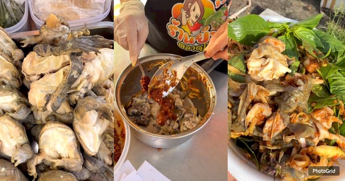 Viral! Menu Salad Kodok yang Bikin Netizen Bergidik Ngeri, Resep Unik dari Thailand