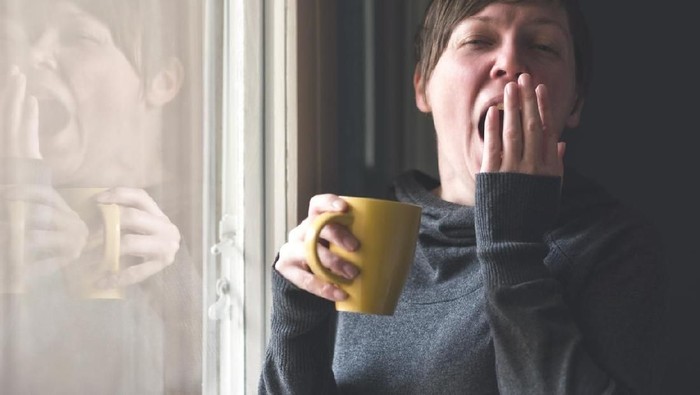 Ngantuk Melulu Setelah Makan? Ini Penyebab yang Kerap Tak Disadari - Update 1