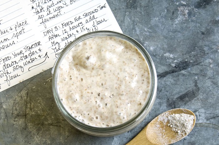 **Ragukan Ragi Sourdoughmu? Simpan di Hotel Khusus Ini!**
