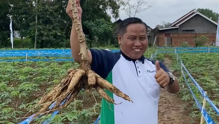 **Narji dan Lahan 1.000 Hektar, Indomie Jadi Mie Instan Lezat Favorit!**