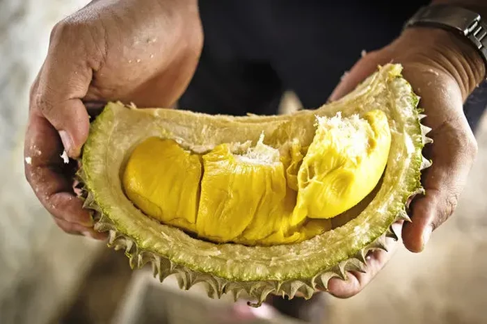 Durian, Petualangan Masa Depan Pangan Indonesia?