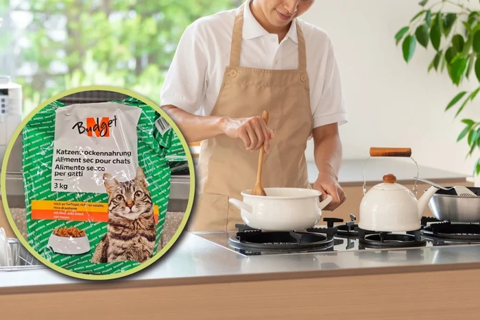 Hidup Hemat di Swiss, Mahasiswa PhD Ini Makan Makanan Kucing! - Update 1